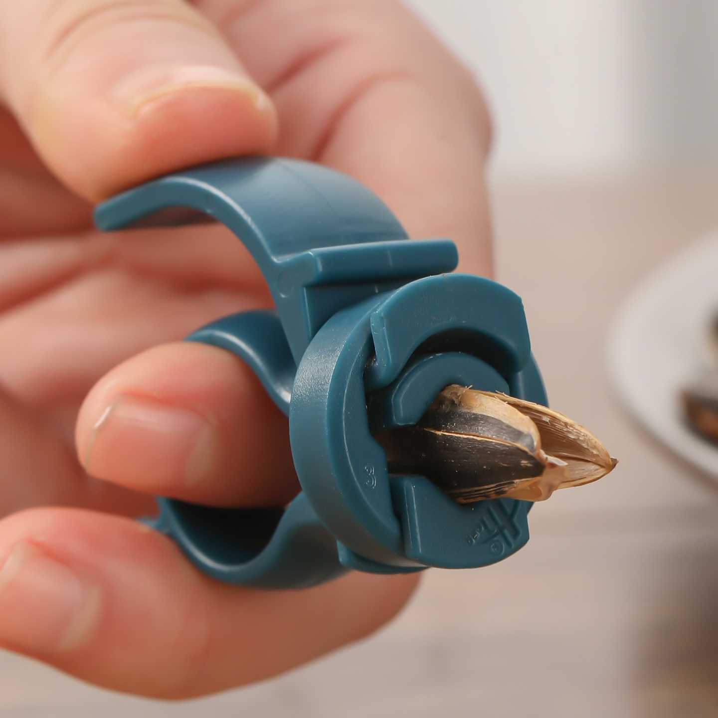 4個入り ランダムカラー クリエイティブ シンプル 小型 ナ - Kitchen Gadgets You Must Have のレビューと価格